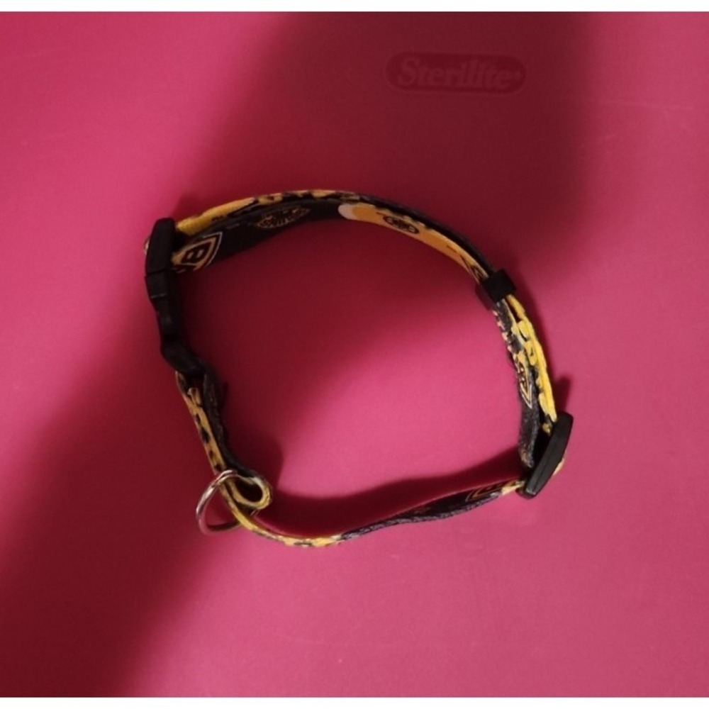 Bruins dog‎ collar medium